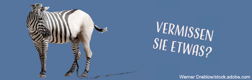 Ein Zebra blickt nach hinten und sucht seine Streifen